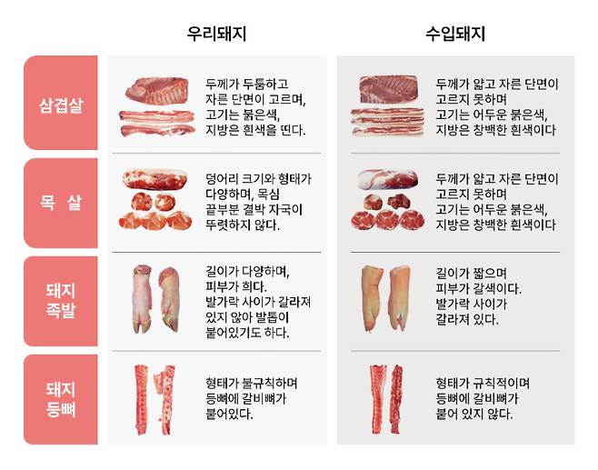 한돈자조금관리위원회 제공