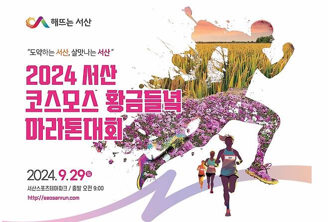 29일 서산서 코스모스 황금들녘 마라톤대회 [서산시 제공. 재판매 및 DB 금지]