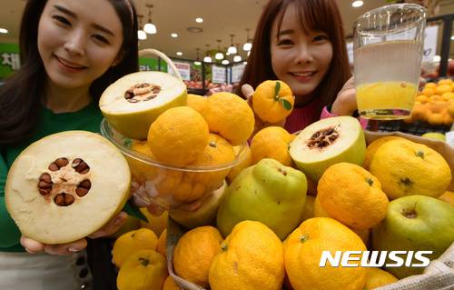 [서울=뉴시스]이영환 기자 = 서울 중구 롯데마트 서울역점에서 모델들이 모과와 유자를 선보이고 있다. 2016.11.29. 20hwan@newsis.com