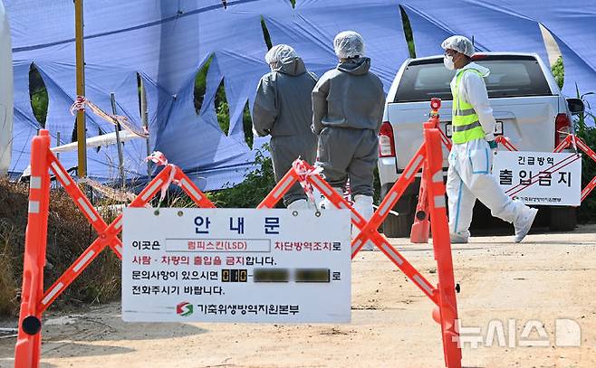 [안성=뉴시스] 김종택 기자 = 올해 첫 소 바이러스성 질병인 럼피스킨병이 발생한 경기도 안성시 한우 농장에서 13일 방역 관계자들이 외부인 출입을 통제하고 있다.국내에서 제1종 가축전염병으로 지정된 럼피스킨병은 모기 등 흡혈 곤충에 의해 전파되는 바이러스성 질병으로 사람에게는 전염되지 않지만 감염된 소에는 고열과 피부 결절 등의 증상이 나타나며 확진 사례가 나온 건 작년 11월 이후 9개월 만이다. 2024.08.13. jtk@newsis.com