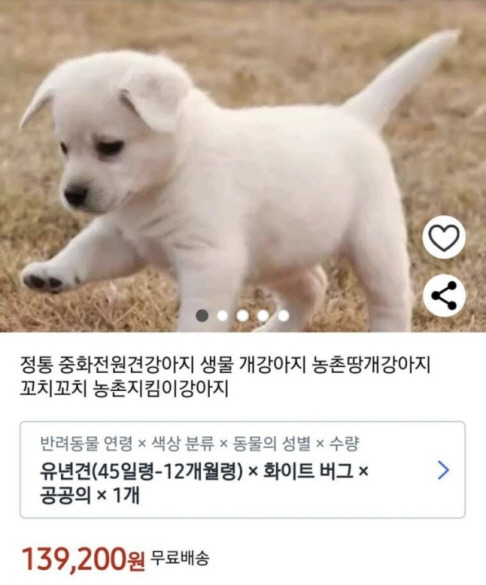 강아지 택배 배송 판매글. 온라인 커뮤니티