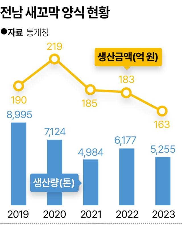 전남 새꼬막 양식 현황