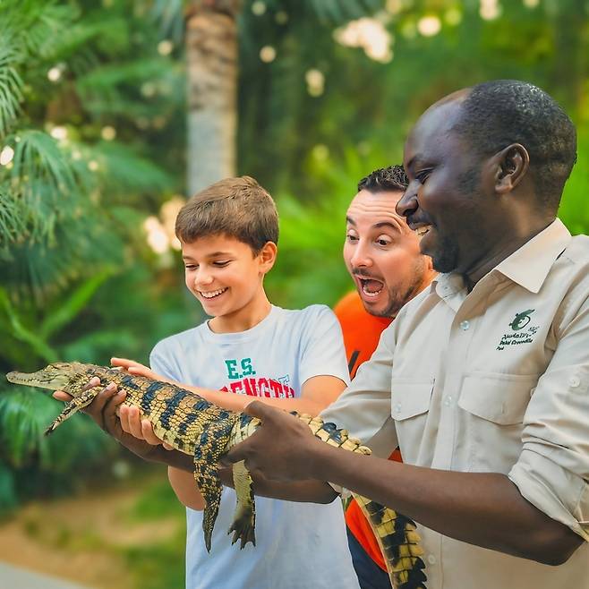 아이와 아버지가 직접 악어를 만져보고 신기해하고 있다 / 사진=두바이악어공원 인스타그램(@ dubaicrocodilepark)