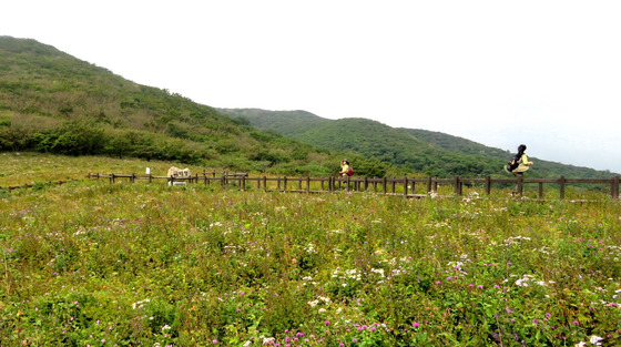 설악산 곰배골길