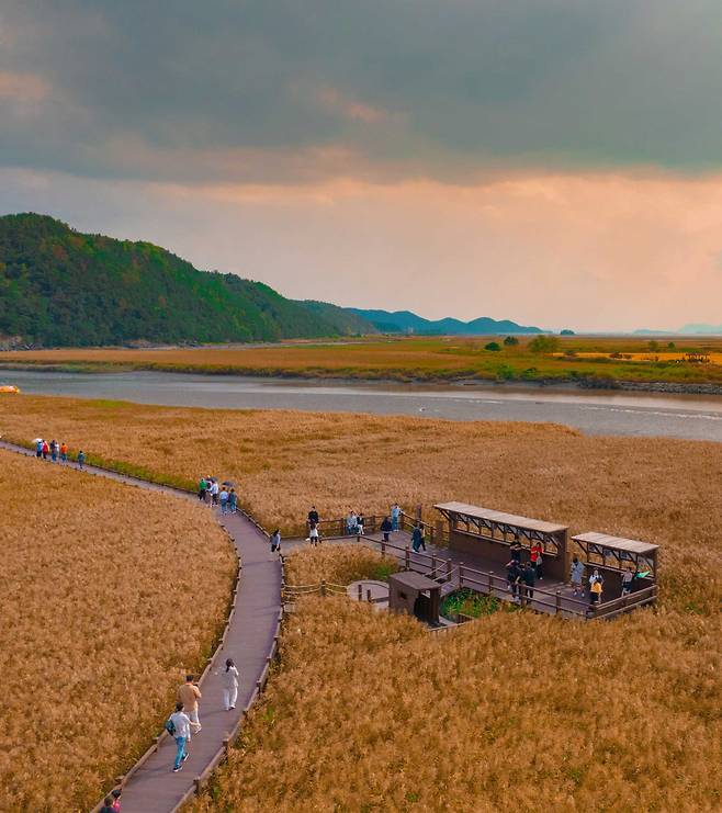 Suncheonman National Garden (Suncheonman National Garden)