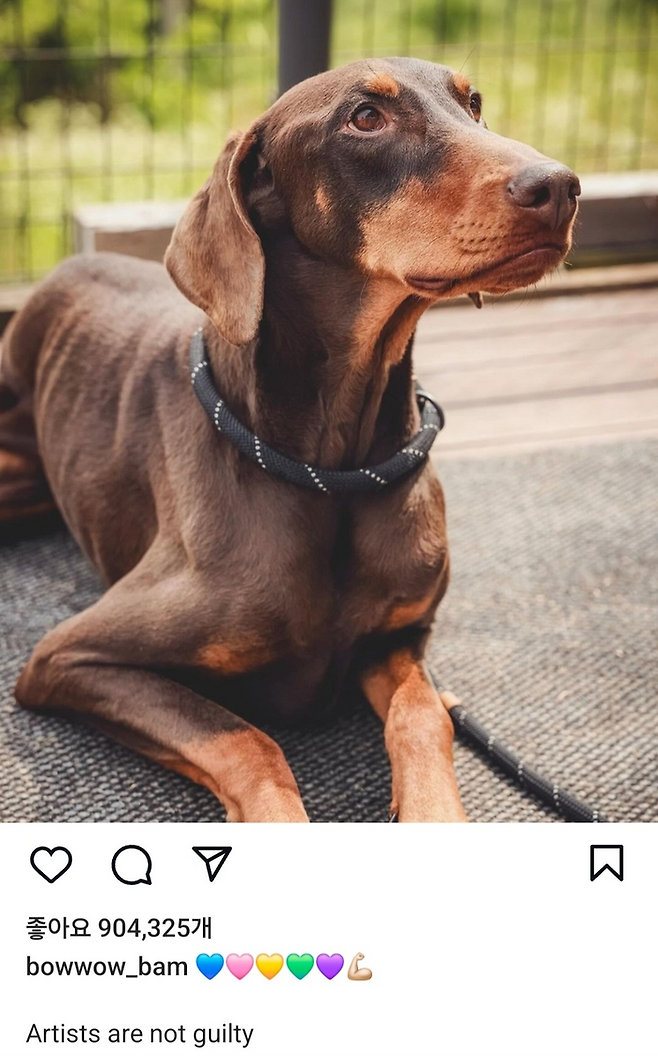 방탄소년단 정국이 운영하는 인스타그램. [사진 출처 = 정국 인스타그램 갈무리]