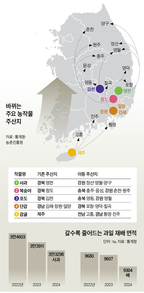 그래픽=남미가 nam.miga@joongang.co.kr