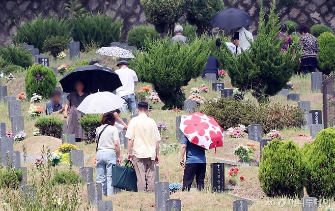 [부산=뉴시스] 하경민 기자 = 추석 연휴를 1주일 가량 앞둔 8일 부산 금정구 영락공원을 찾은 여러 가족들이 조상묘에 대한 벌초와 성묘를 하고 있다. 2024.09.08. yulnetphoto@newsis.com /사진=하경민