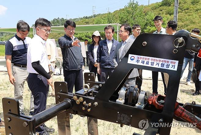 권재한 청장, 여름배추 수급 안정을 위한 준고랭지 신작형 생산기술 연구 상황 점검 (서울=연합뉴스) 권재한 농촌진흥청장이 13일 강원도 평창군 국립원예특작과학원 진부시험지에서 여름배추 수급 안정을 위한 준고랭지 신작형 생산기술 연구 상황을 점검하고 있다. 2024.8.13 [농촌진흥청 제공. 재판매 및 DB 금지] photo@yna.co.kr