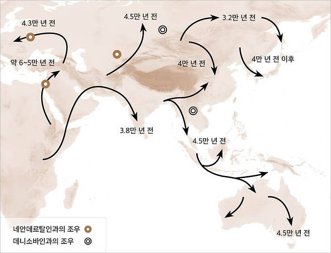 호모 사피엔스 확산도