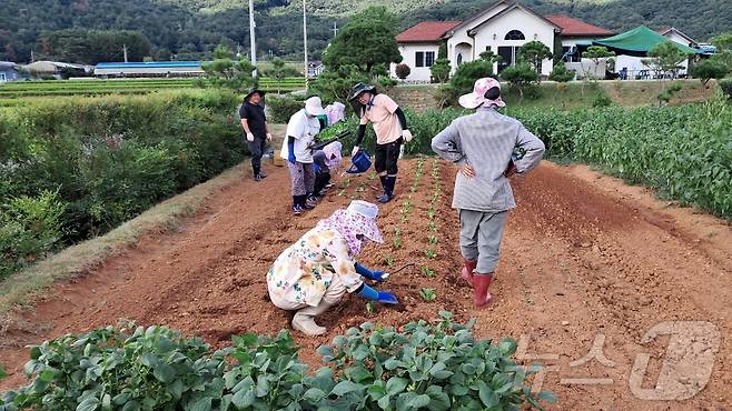 밀양시 '농촌에서 살아보기'에 참여한 참가자들이 밭 이랑을 고르고 파종에 나서고 있다.(밀양시 제공)