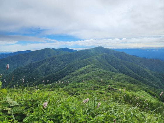 소백산 연화봉길. 국립공원공단 제공