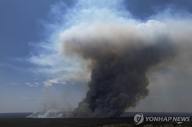 무섭게 솟는 화재 연기 (브라질리아 AP=연합뉴스) 16일(현지시간) 브라질리아 국립공원 내 환경보호구역에서 화재로 인한 연기가 피어오르고 있다. 2024.9.17