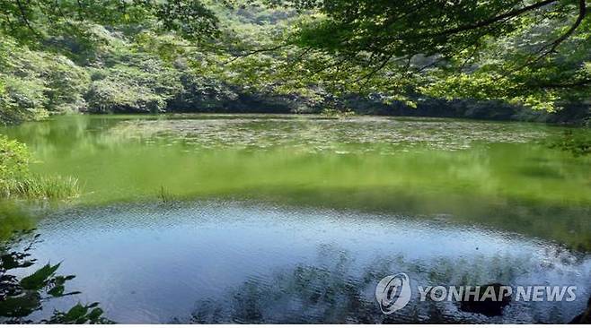 제주 물찻오름 습지 [연합뉴스 자료사진]