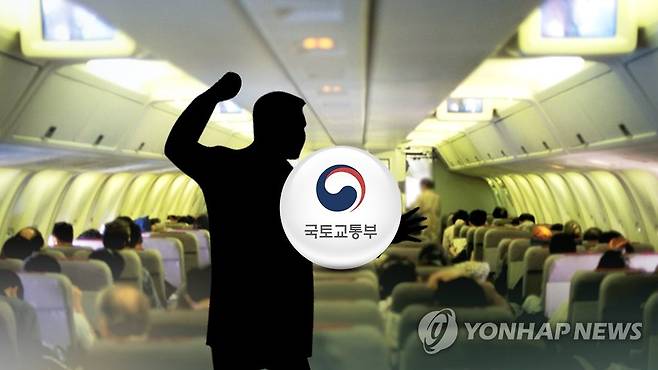 항공기 내 범죄(CG) [연합뉴스TV 제공]