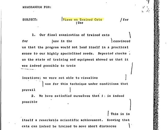 1964년 고양이 귓속에 도청장치, 가슴에 배터리, 척추엔 안테나 삽입한 CIA의 '어쿠스틱 키티'(Acoustikitty) 프로젝트가 담긴 문서. 사진 국제첩보박물관