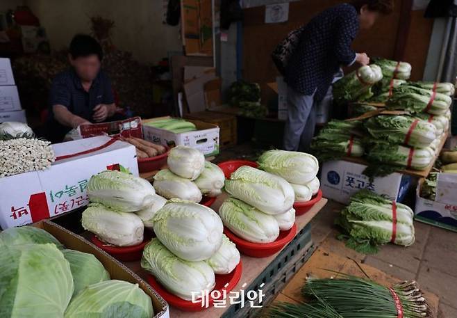 전통시장 진열대에 놓인 배추 등 채소류. ⓒ뉴시스