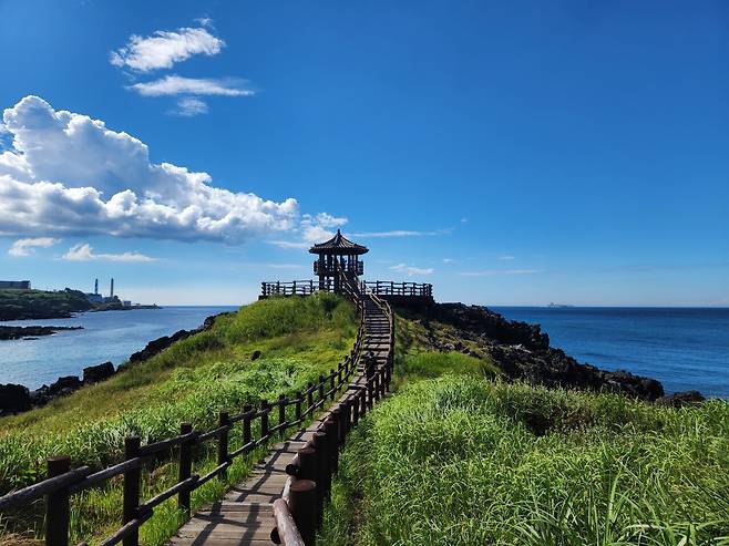 20240918_144447.jpg 이 더운날 제주 올레길을 걷다