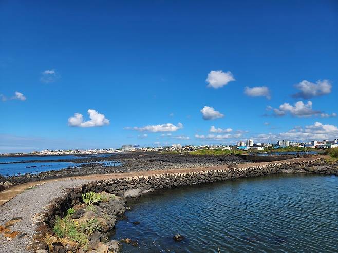 20240918_152006.jpg 이 더운날 제주 올레길을 걷다