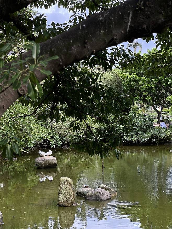 IMG_6421.jpeg 당일예약 대만여행 #1