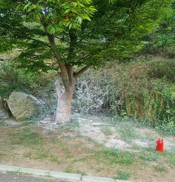 인천 중구 운서동 한 골프장에서 불이 났다. 인천소방본부제공