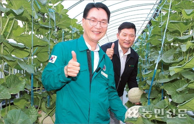 심덕섭 전북 고창군수(왼쪽)와 김기육 고창 선운산농협 조합장이 공선회 소속 멜론농가를 찾아 높은 품질을 확인하고 엄지손가락을 추켜올리고 있다.