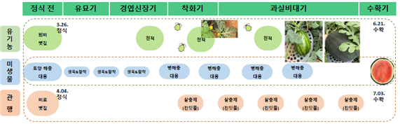 수박 전 생육단계 맞춤형 농가실증을 위한 미생물제 기본처리방법. 농촌진흥청