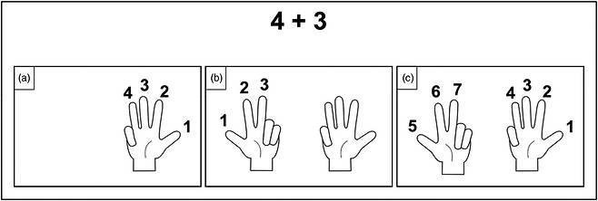 양손 손가락을 이용한 덧셈 훈련  [Child Development / Catherine Thevenot et al. 제공. 재판매 및 DB 금지]