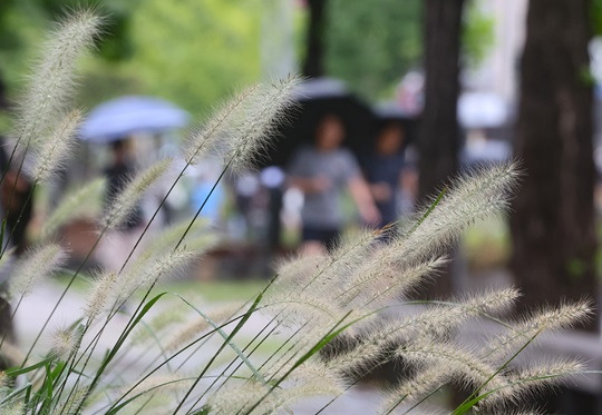 가을비가 내린 5일 서울 마포구 경의선 숲길에서 우산을 쓴 시민들이 발걸음을 옮기고 있다. 사진=뉴시스