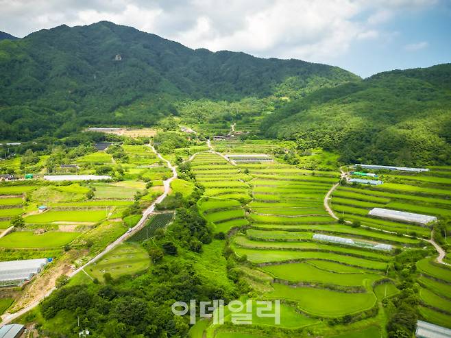 지리산 둘레길 3코스 중 등구재로 오르는 길에 펼쳐진 계단식 다랑논