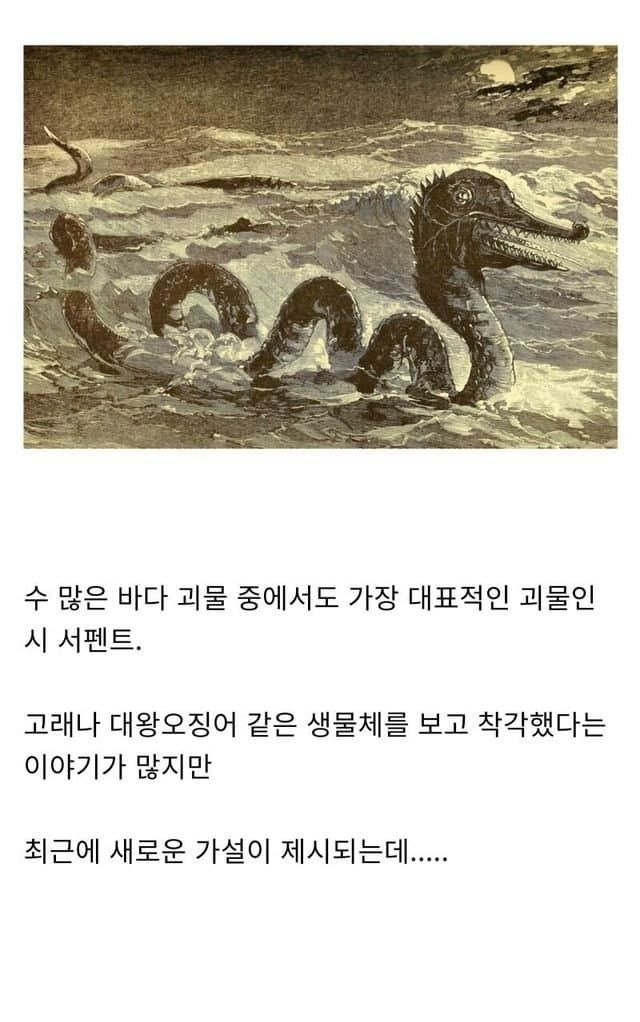 전설의 바다 괴물의 비밀