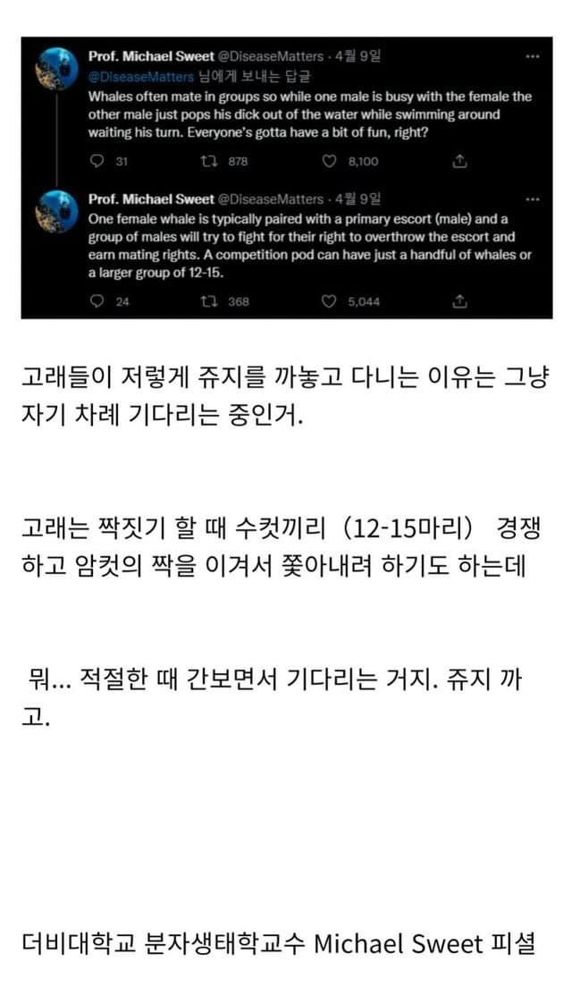 전설의 바다 괴물의 비밀