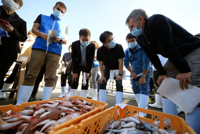 국제원자력기구(IAEA) 관계자와 한국·중국·캐나다 3국 연구원들이 지난해 10월 19일 일본 후쿠시마현 이와키시 히사노하마항에서 잡힌 생선을 살펴보고 있다. IAEA는 후쿠시마 제1원자력발전소 오염수 해양 방류 이후 이날 처음으로 원전 인근 해역에서 잡은 수산물 조사에 착수했다. 이와키=AP 연합뉴스