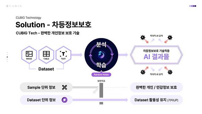 큐빅의 차등정보보호 솔루션 / 출처=큐빅