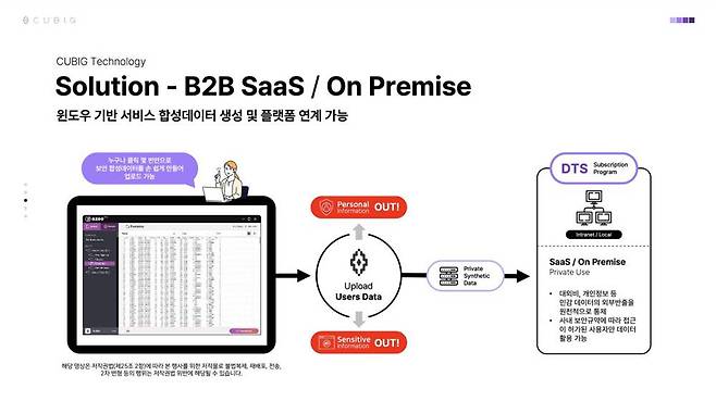 큐빅의 합성 데이터 솔루션 / 출처=큐빅