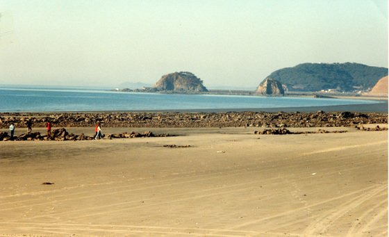 충남 태안군 안면도꽃지해수욕장. 산림청이 조성중인 동서트레일이 이곳에도 조성된다. 중앙포토