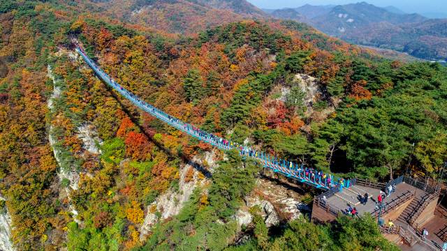 원주 ‘소금산 그랜드 밸리’ 첫 코스, 높이 100m 협곡을 잇는 출렁다리 전경