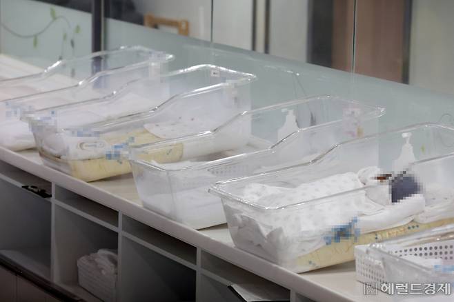 사진은 24일 서울 시내의 한 산후조리원 신생아실 [헤럴드경제 DB]