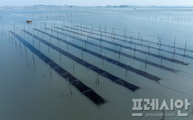 ▲신안의 김 양식장ⓒ전라남도