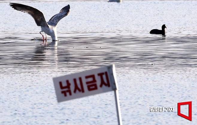 '낚시금지' 경고에도 어쩔 수 없는 강태공이 있다. 인간이 세운 원칙에는 예외가 존재한다. 사진=김현민 기자 kimhyun81@