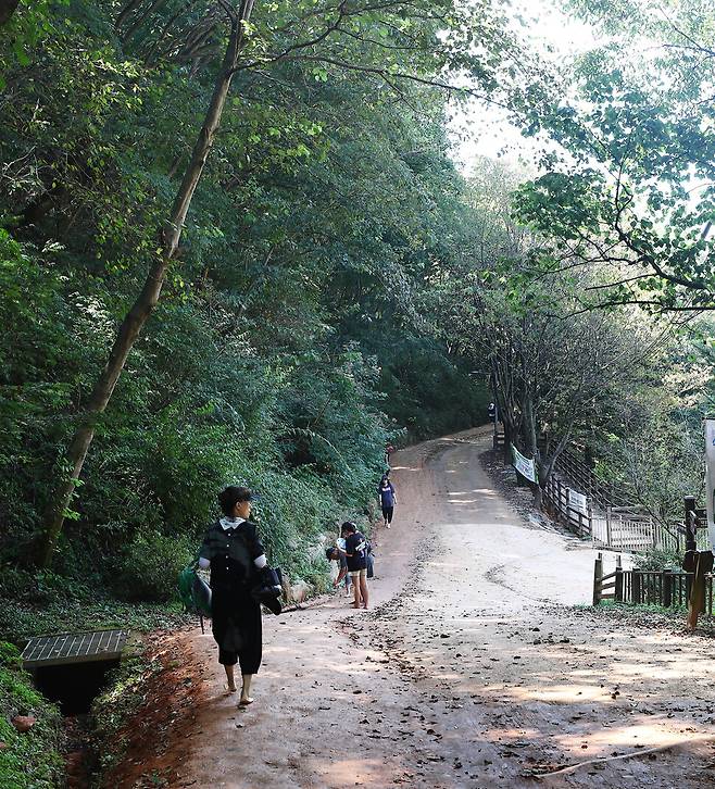 계족산 황톳길에서 맨발 걷기를 하고 있는 시민들. 박미향 기자