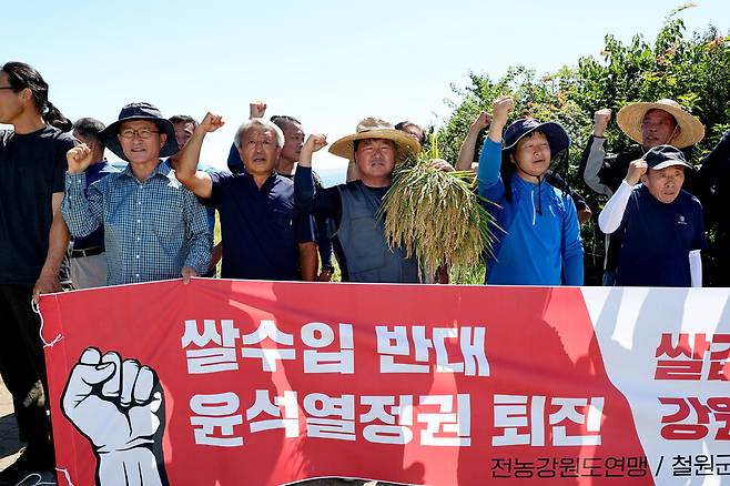 강원 철원군농민회 회원들이 2024년 8월30일 철원군 동송읍 철원새마을금고 미곡종합처리장 인근 한 논에서 ‘논 갈아엎기 투쟁\' 기자회견을 열고 정부의 쌀값 보장을 촉구하고 있다.