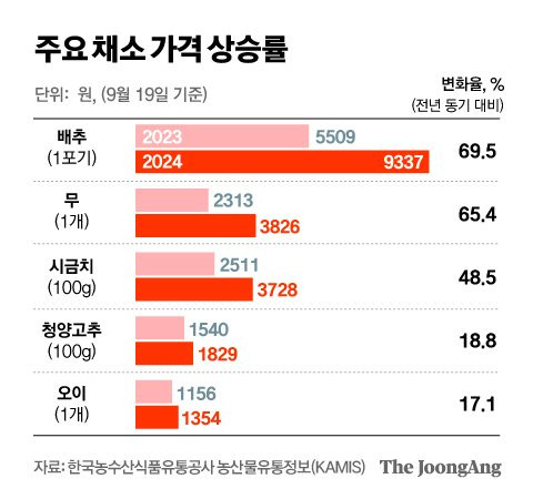 정근영 디자이너