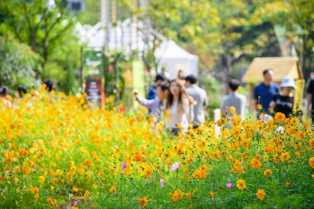 지난해 열린 고양가을꽃축제를 찾은 관람객들이 기념촬영을 하고 있다. 사진 제공=고양시