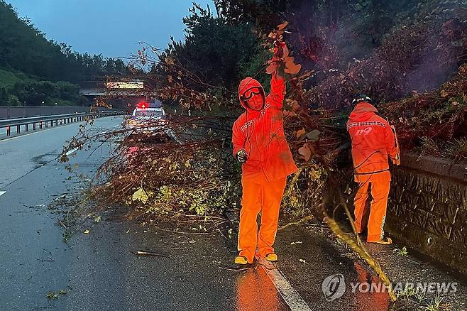 쓰러진 나무 수습하는 소방 당국 (구례=연합뉴스) 21일 오전 전남 구례군 산동면 한 도로에서 나무가 쓰러져 소방 당국이 안전 조치를 하고 있다. 2024.9.21 [전남소방본부 제공. 재판매 및 DB 금지] daum@yna.co.kr