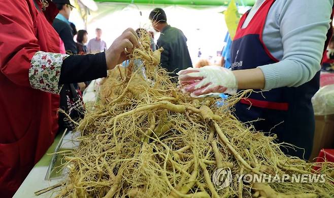 홍천 명품 인삼 축제 [연합뉴스 자료사진]