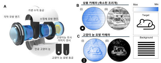 고양이 눈을 모사해 개발한 인공 시각 시스템 개념도로, 밝거나 어두운 다양한 조명 환경에서 객체와 주변 환경을 감지하고 인식하는 성능이 뛰어나다. GIST 제공