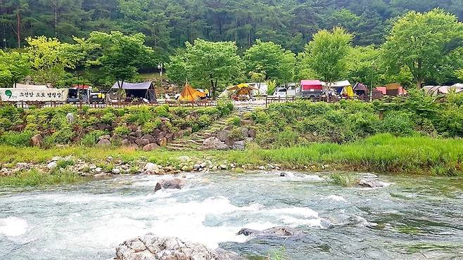 충북 단양군에서 운영하는 공공 야영장 소선암오토캠핑장 전경. 단양군 제공.
