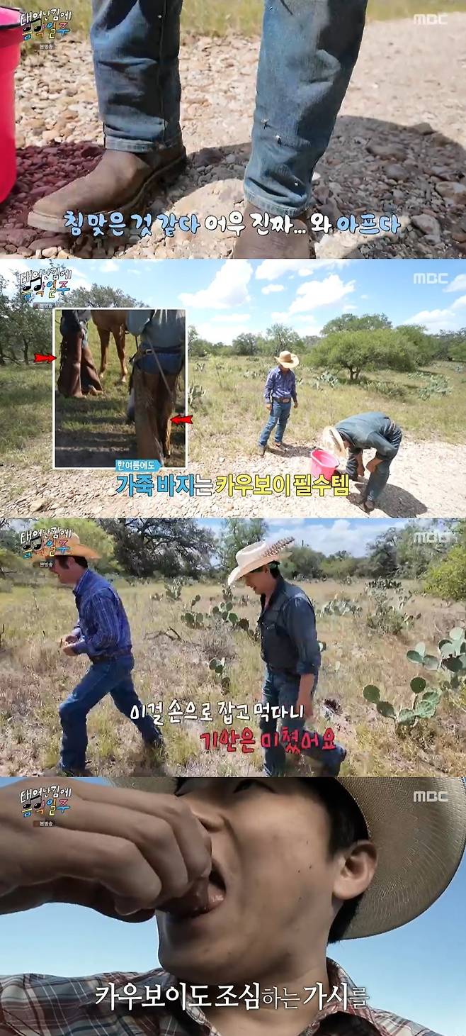 MBC ‘태어난 김에 음악일주’ 캡처