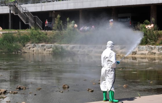 지난 8월 29일 광주 북구보건소 감염병관리팀 방역방원들이 북구 임동 서방천 일원에서 감염병 방지를 위해 방역 작업을 하고 있다. 사진 광주 북구